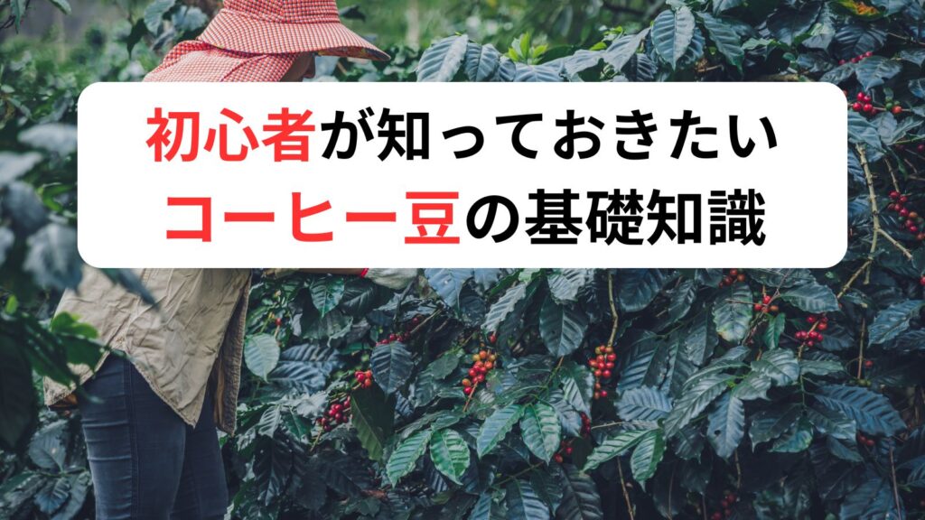 初心者が知っておきたいコーヒー豆の基礎知識